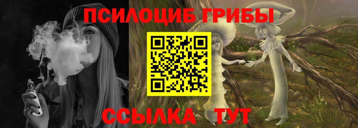 Псилоцибиновые грибы Psilocybine cubensis  Псилоцибиновые грибы Cubensis  Новоалтайск  Вход с VPN 