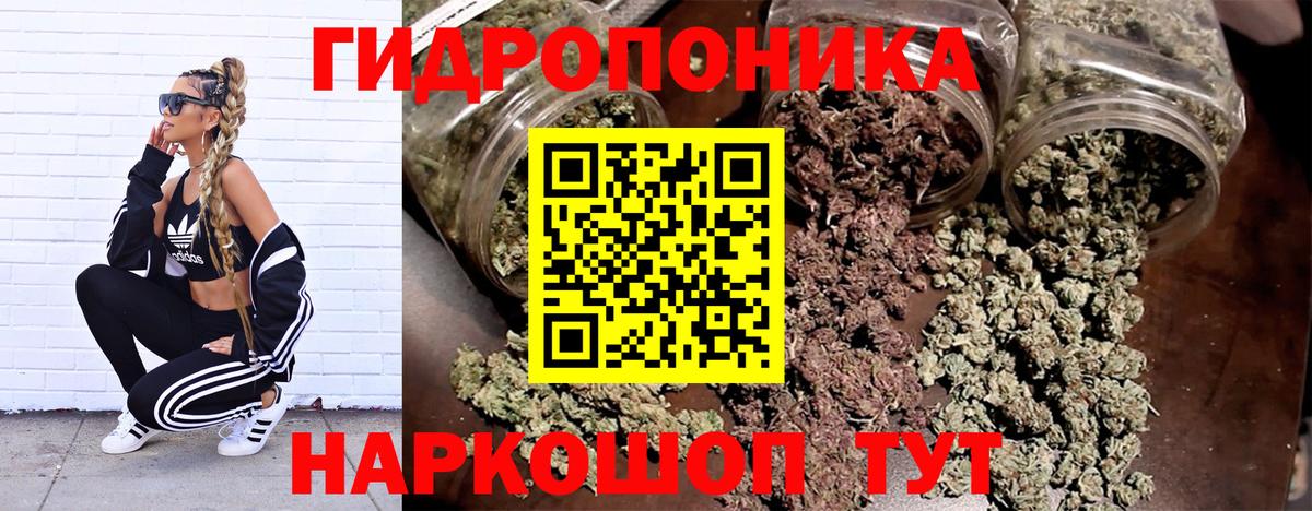 Шишки марихуана гибрид Новоалтайск